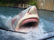 Der wei&szlig;er Hai im Universal Studio / Orlando