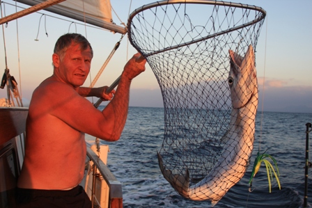 Unser erster Barracuda