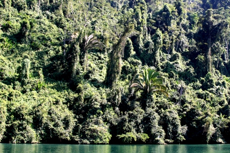 Undurchdringlicher Dschungel  mit bis zu 100m hohen Steilw&auml;nden 